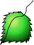 blapa.gif (2658 bytes)