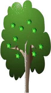 kkk.gif (18227 bytes)