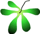 klapa.gif (2084 bytes)