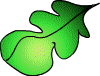 ozollapa.gif (2955 bytes)