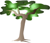 pr.gif (7079 bytes)